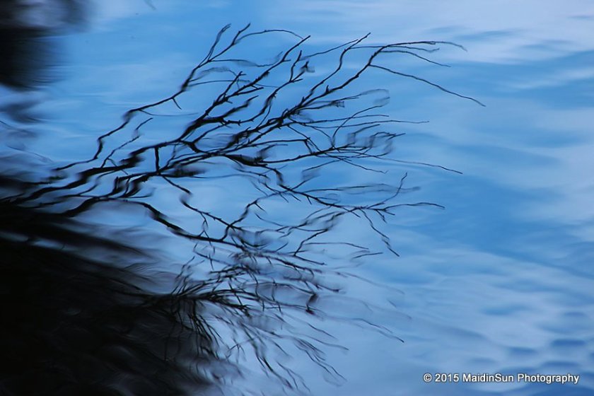 Ripples and reflections.